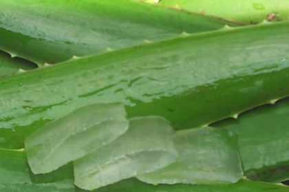 Aloe vera bevat antioxidanten